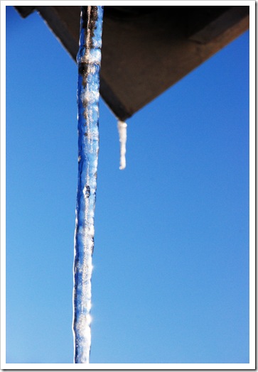 DSC_0296_edited-1