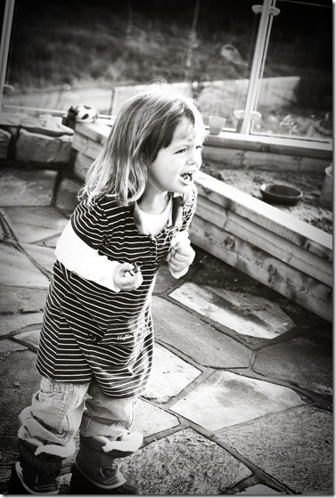 DSC_0802 copy