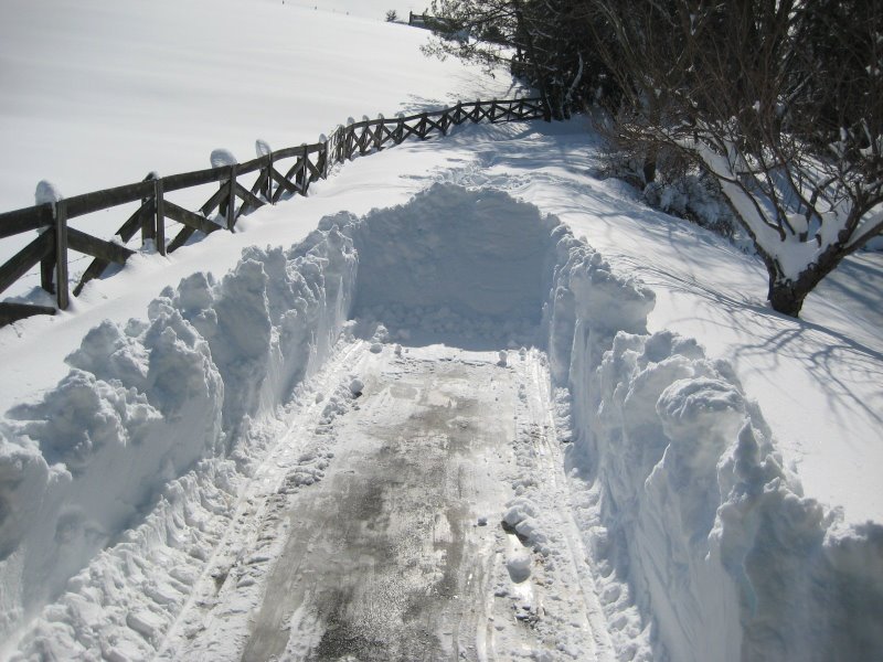 image5-1.jpg