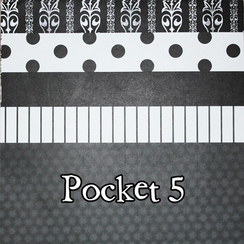 [pocket 5[3].jpg]