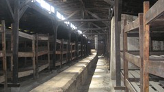 IMG_1188 IMG_1188