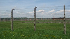 IMG_1195 IMG_1195