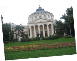 IMG_2024 IMG_2024