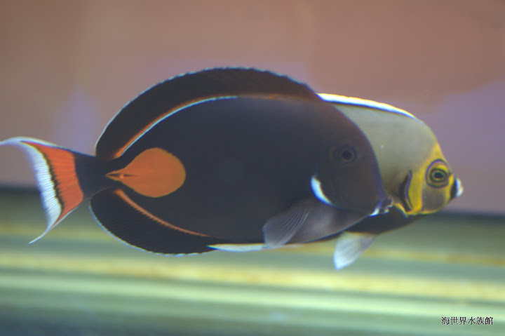 DSC_0015.jpg