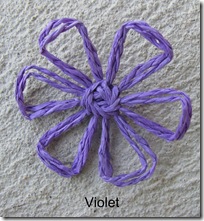 violetdaisy