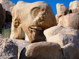 ALien Rock face near Piedras Grandes - Anza Borrego