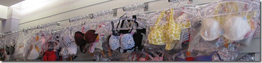 IMG_0491 IMG_0491