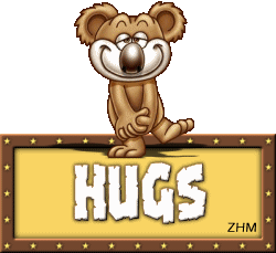 hugs koala