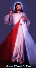 [divine mercy[1].png]