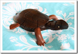 Turtle puzzle and makeup 019