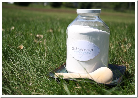 Caterpillar and dishwasher detergent 045