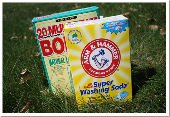 Caterpillar and dishwasher detergent 048