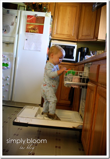 Dishwasher Boy