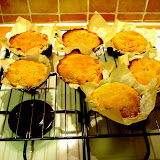 image1.jpg image1.jpg