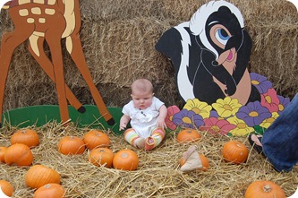 Pumpkin Patch 052