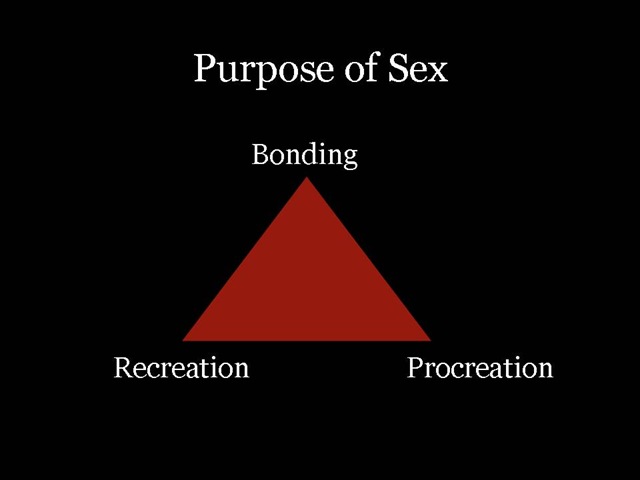 [Purpose of Sex[3].jpg]
