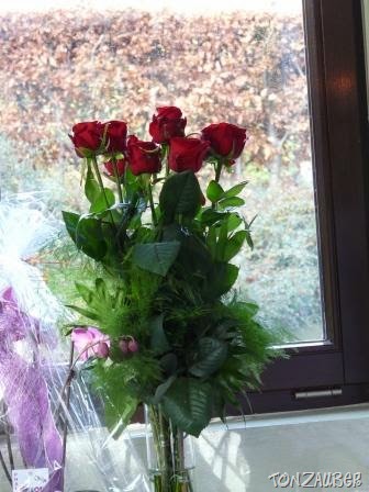 [P1050791neu1.jpg]