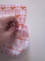 IMG_0587_thumb