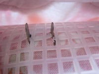 IMG_0616_thumb IMG_0616_thumb