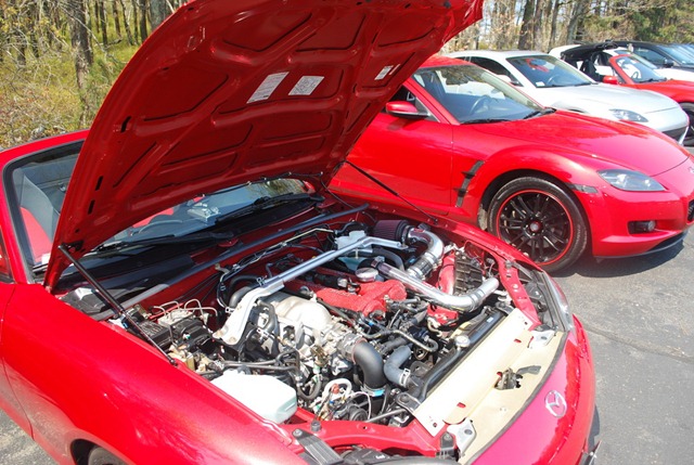 [DSC_8433xf[2].jpg]