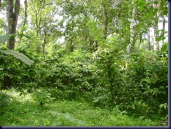 DSC02635