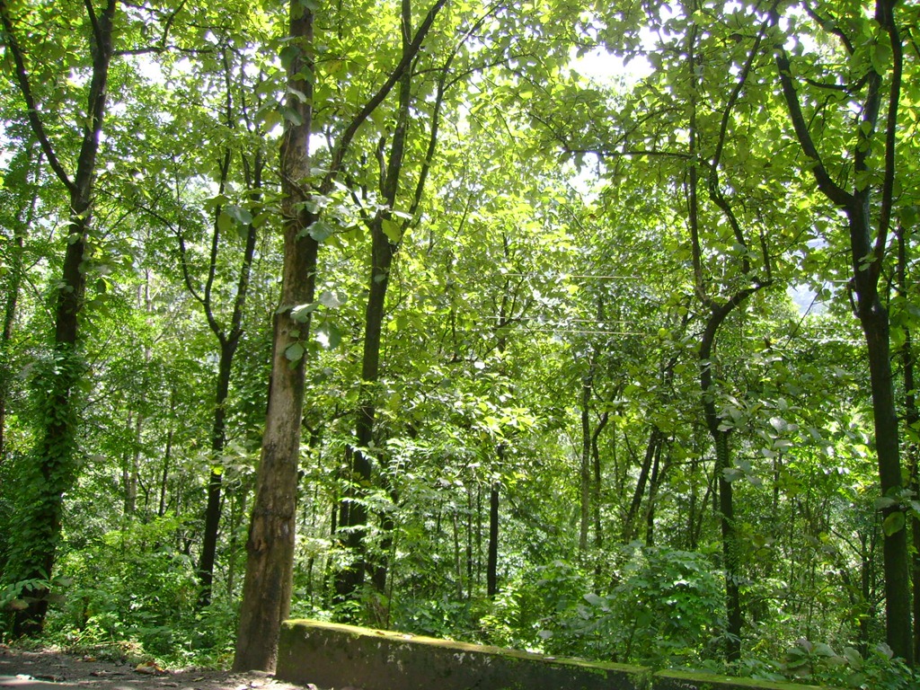 [DSC02670[3].jpg]