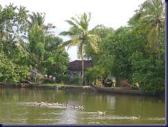 DSC00158