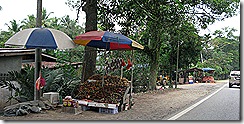 IMG_1708