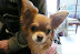 P1010280.JPG