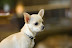 DSC_5963.jpg