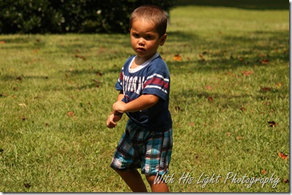IMG_1739 IMG_1739