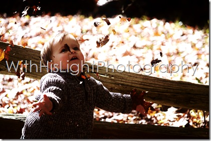 IMG_5341 IMG_5341