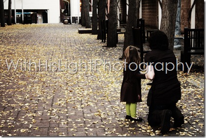 IMG_8022 IMG_8022