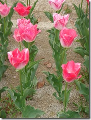DSC01376