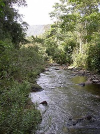 clip_image002