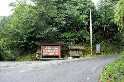 新竹觀霧大鹿林道野趣
