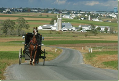 buggy_farmscape