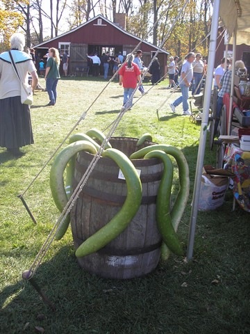 [Waterloo Pioneer Days 2010-21[5].jpg]