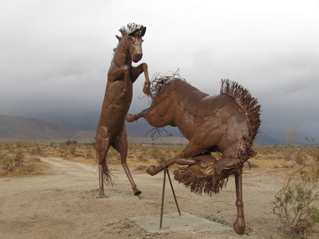 Anza Borrego - Creature Desert