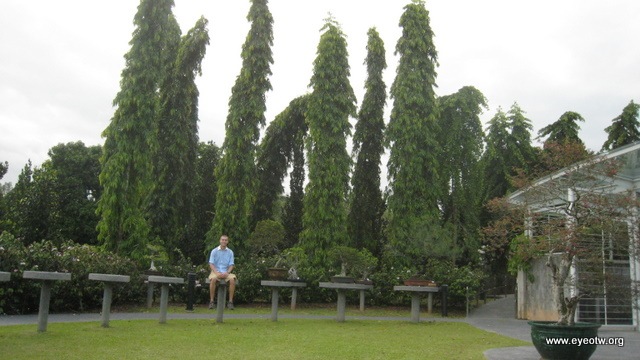 [botanical gardens bonsai[2].jpg]