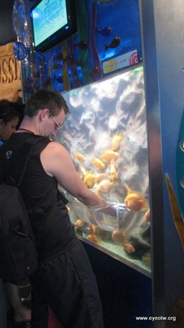 [petting aquarium[2].jpg]