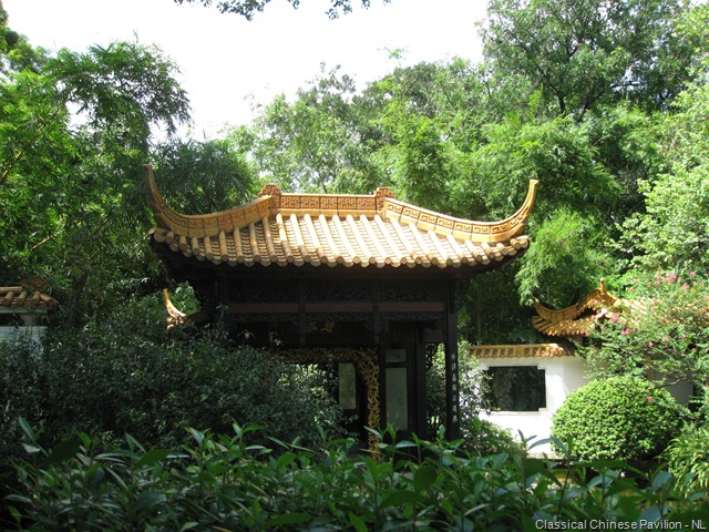 [Orchid Garden (45)[3].jpg]