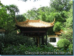Orchid Garden (45)