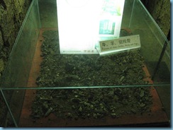 Museum of Nan yue king 047