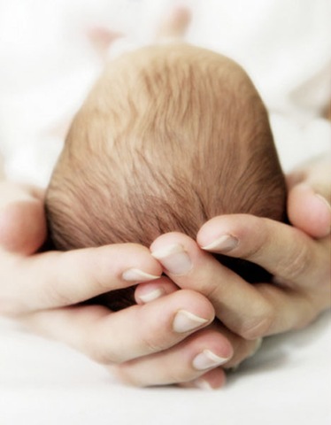 [newbornbabyheadinhumanhandsfingerscr.jpg]