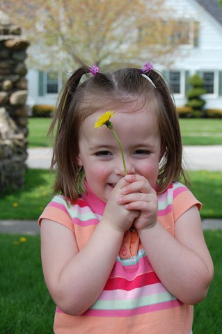 [DSC_0310[3].jpg]