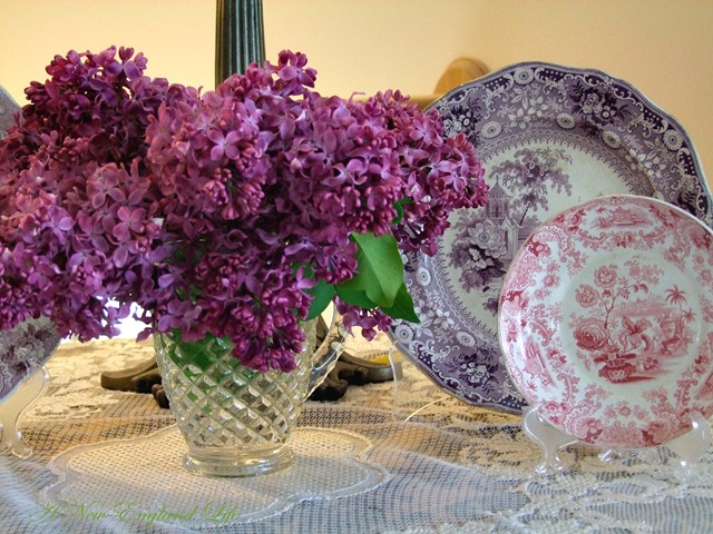 [Lilac plates[4].jpg]