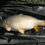 2008_04_19