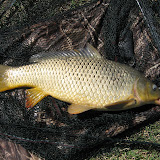 2008_02_28