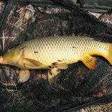 2008_02_10
